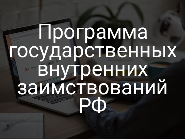 Программа государственных внутренних заимствований РФ