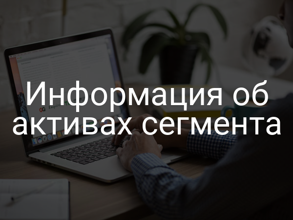 Информация об активах сегмента