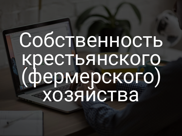 Собственность крестьянского (фермерского) хозяйства