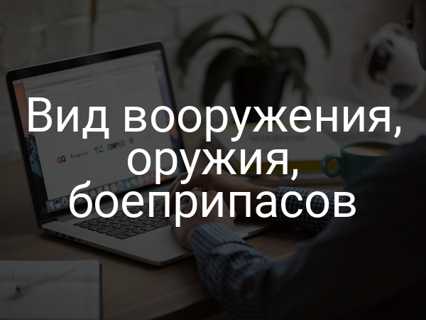 Вид вооружения, оружия, боеприпасов