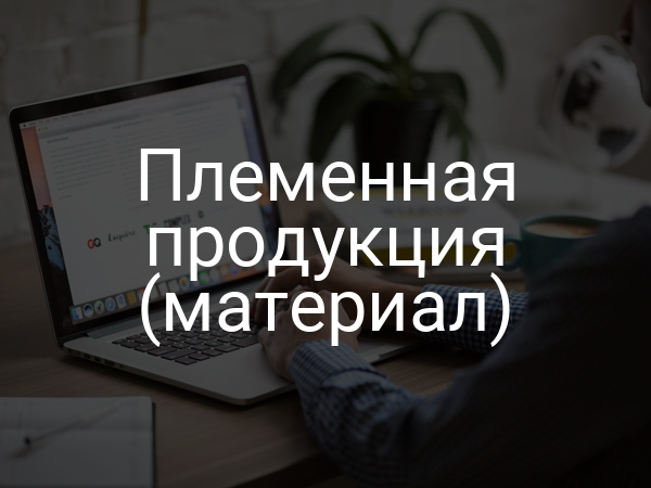 Племенная продукция (материал)