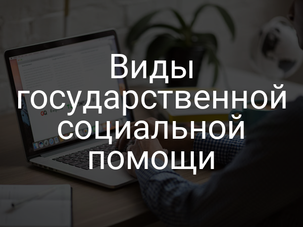 Виды государственной социальной помощи