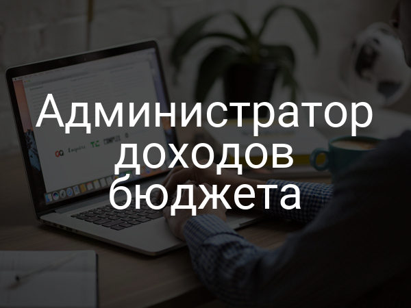 Администратор доходов бюджета