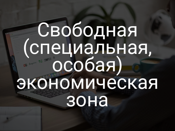Свободная (специальная, особая) экономическая зона