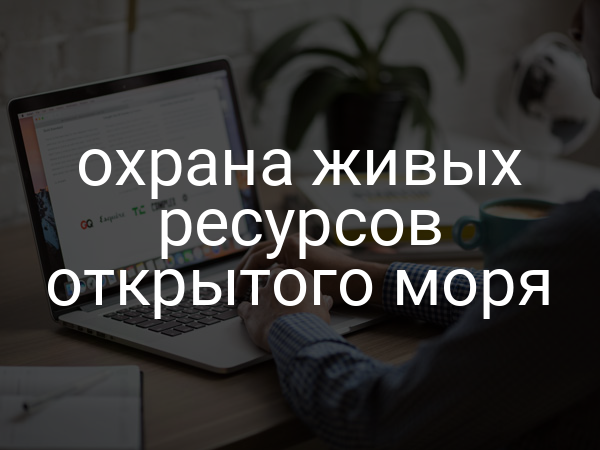 охрана живых ресурсов открытого моря