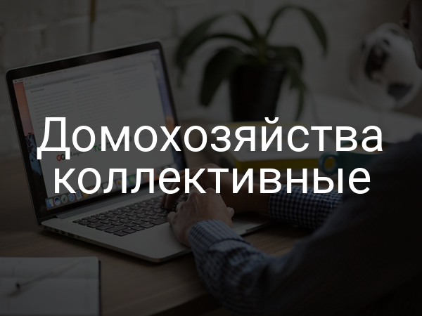 Домохозяйства коллективные