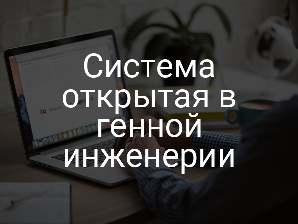 Система открытая в генной инженерии