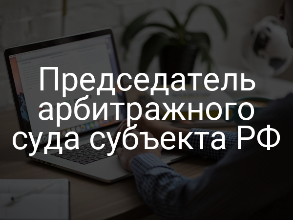 Председатель арбитражного суда субъекта РФ