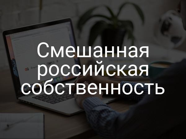 Смешанная российская собственность