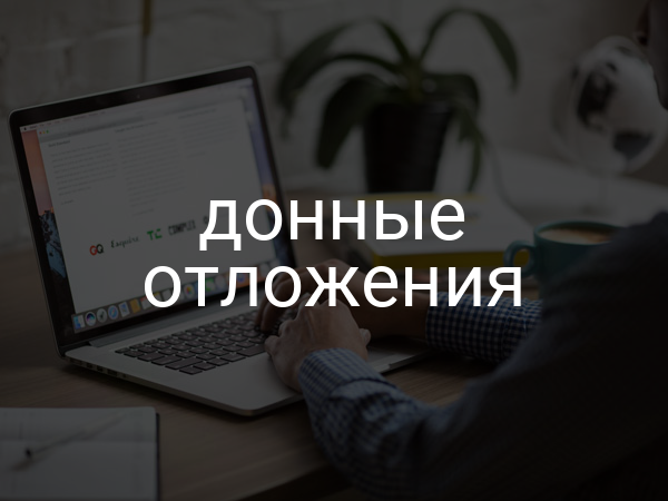 Донные отложения