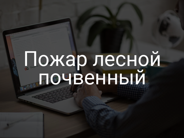 Пожар лесной почвенный