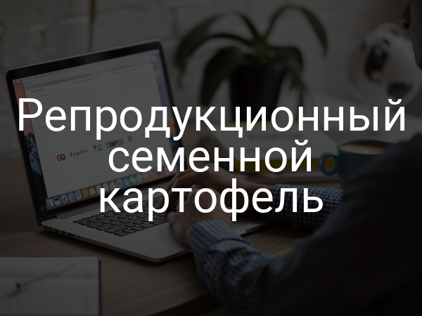 Репродукционный семенной картофель