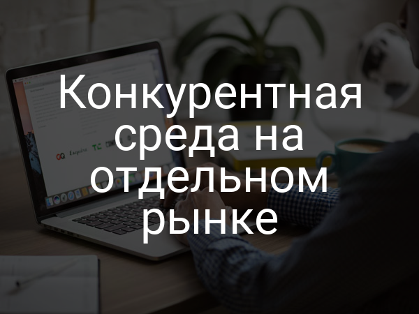 Конкурентная среда на отдельном рынке