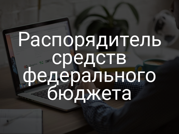 Распорядитель средств федерального бюджета