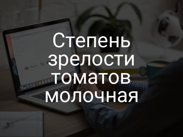 Степень зрелости томатов молочная