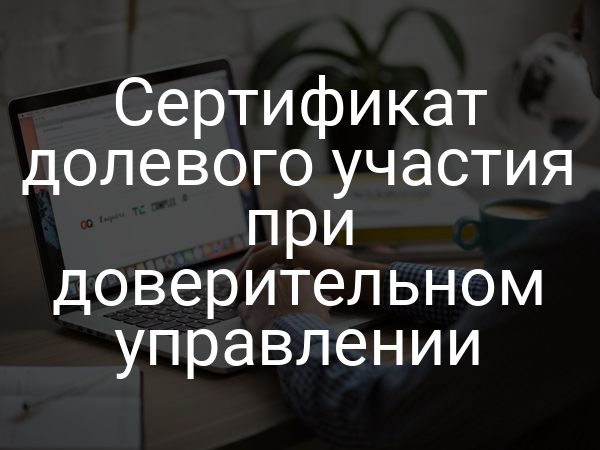 Сертификат долевого участия при доверительном управлении