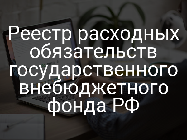 Реестр расходных обязательств государственного внебюджетного фонда РФ