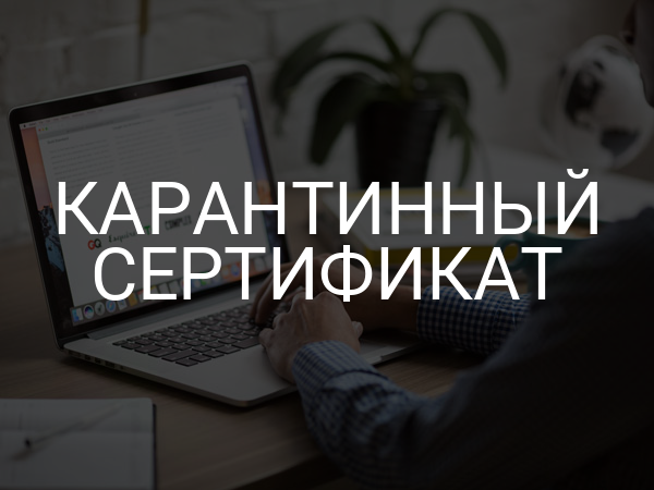 Карантинный сертификат