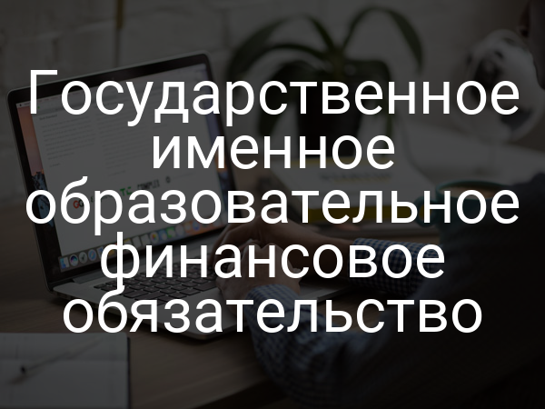 Государственное именное образовательное финансовое обязательство