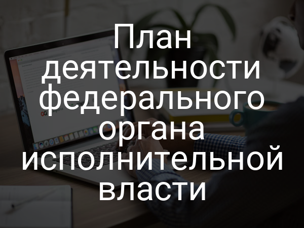 План деятельности федерального органа исполнительной власти