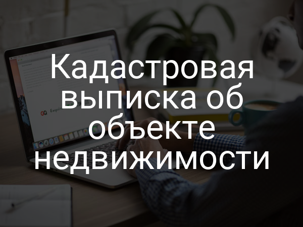 Кадастровая выписка об объекте недвижимости