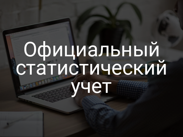 Официальный статистический учет