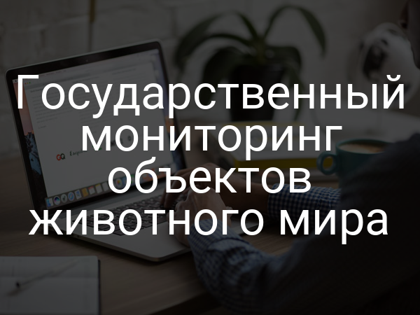 Государственный мониторинг объектов животного мира