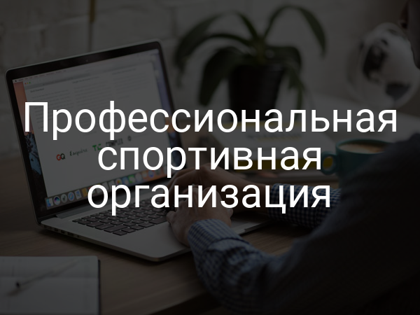 Профессиональная спортивная организация