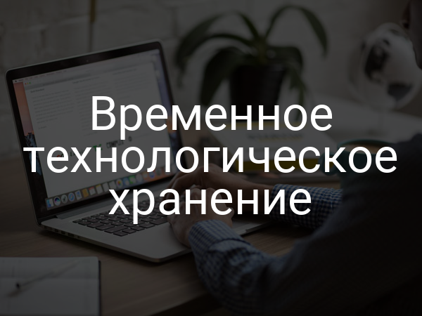 Временное технологическое хранение