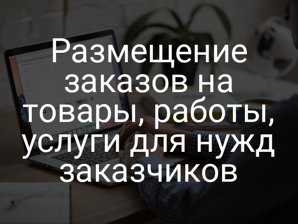 Размещение заказов на товары, работы, услуги для нужд заказчиков