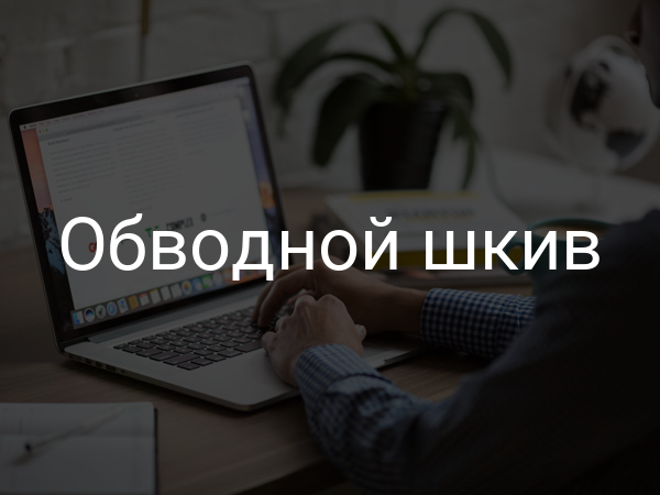 Обводной шкив