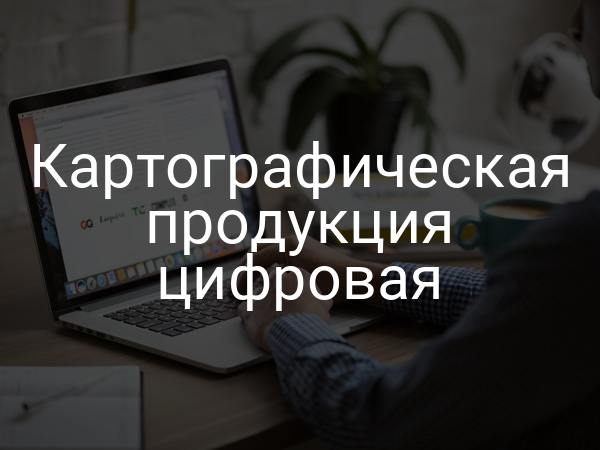 Картографическая продукция цифровая