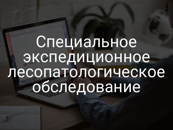 Специальное экспедиционное лесопатологическое обследование