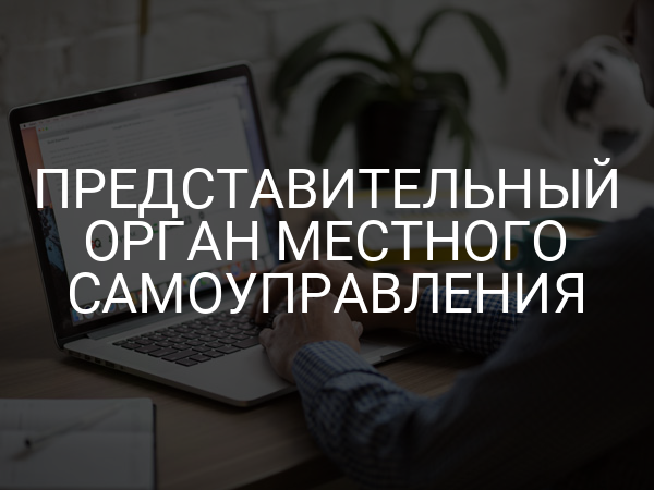 Представительный орган местного самоуправления