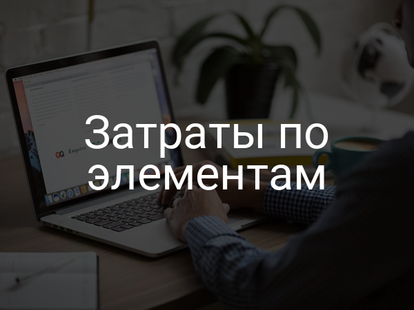 Затраты по элементам