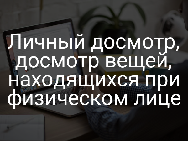 Личный досмотр, досмотр вещей, находящихся при физическом лице