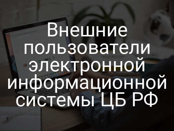Внешние пользователи электронной информационной системы ЦБ РФ