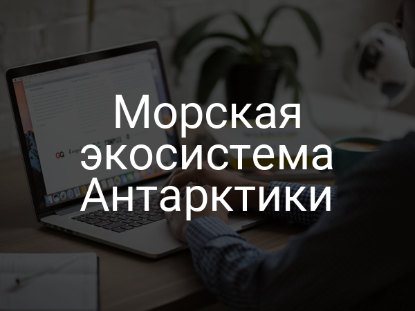 Морская экосистема Антарктики