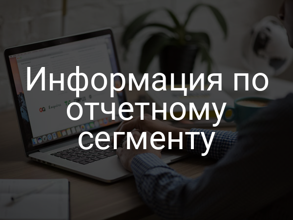 Информация по отчетному сегменту