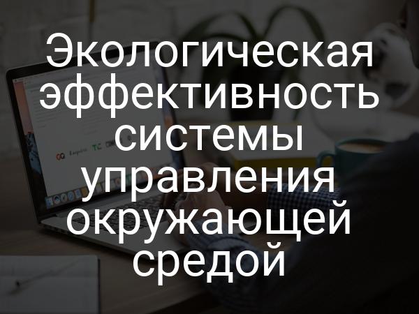 Экологическая эффективность системы управления окружающей средой