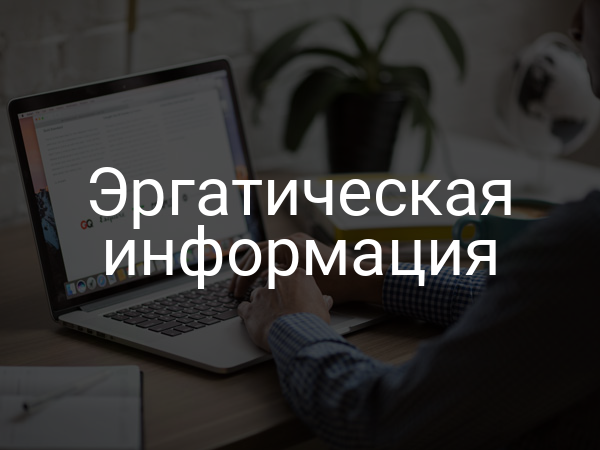 Эргатическая информация