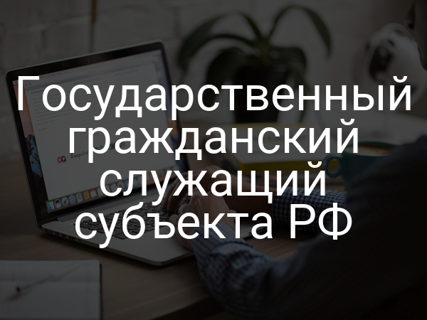 Государственный гражданский служащий субъекта РФ