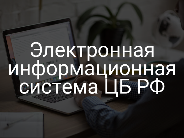 Электронная информационная система ЦБ РФ