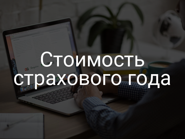 Стоимость страхового года
