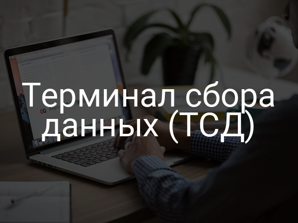 Терминал сбора данных (ТСД)