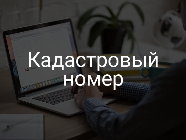 Кадастровый номер