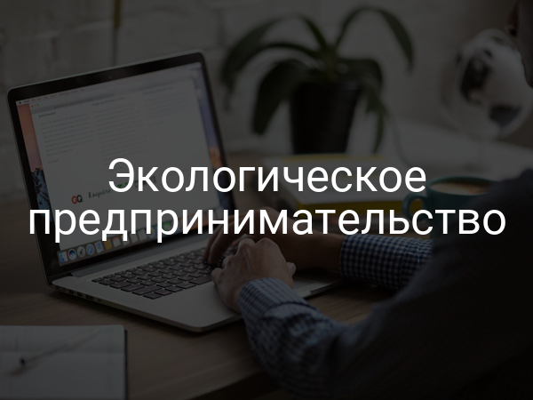 Экологическое предпринимательство