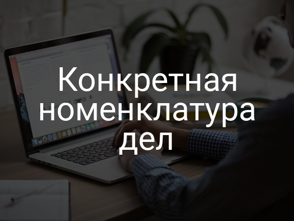 Конкретная номенклатура дел