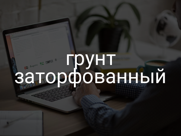 Грунт заторфованный