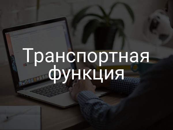 Транспортная функция